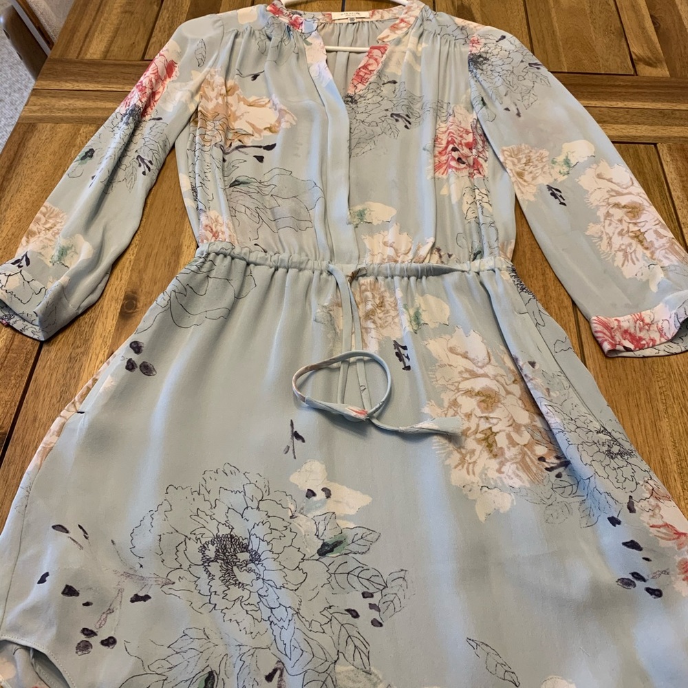 Aritiza Baraton Silk Dress size xxs
